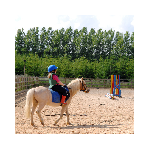 /images/instagram_child_on_a_horse.png