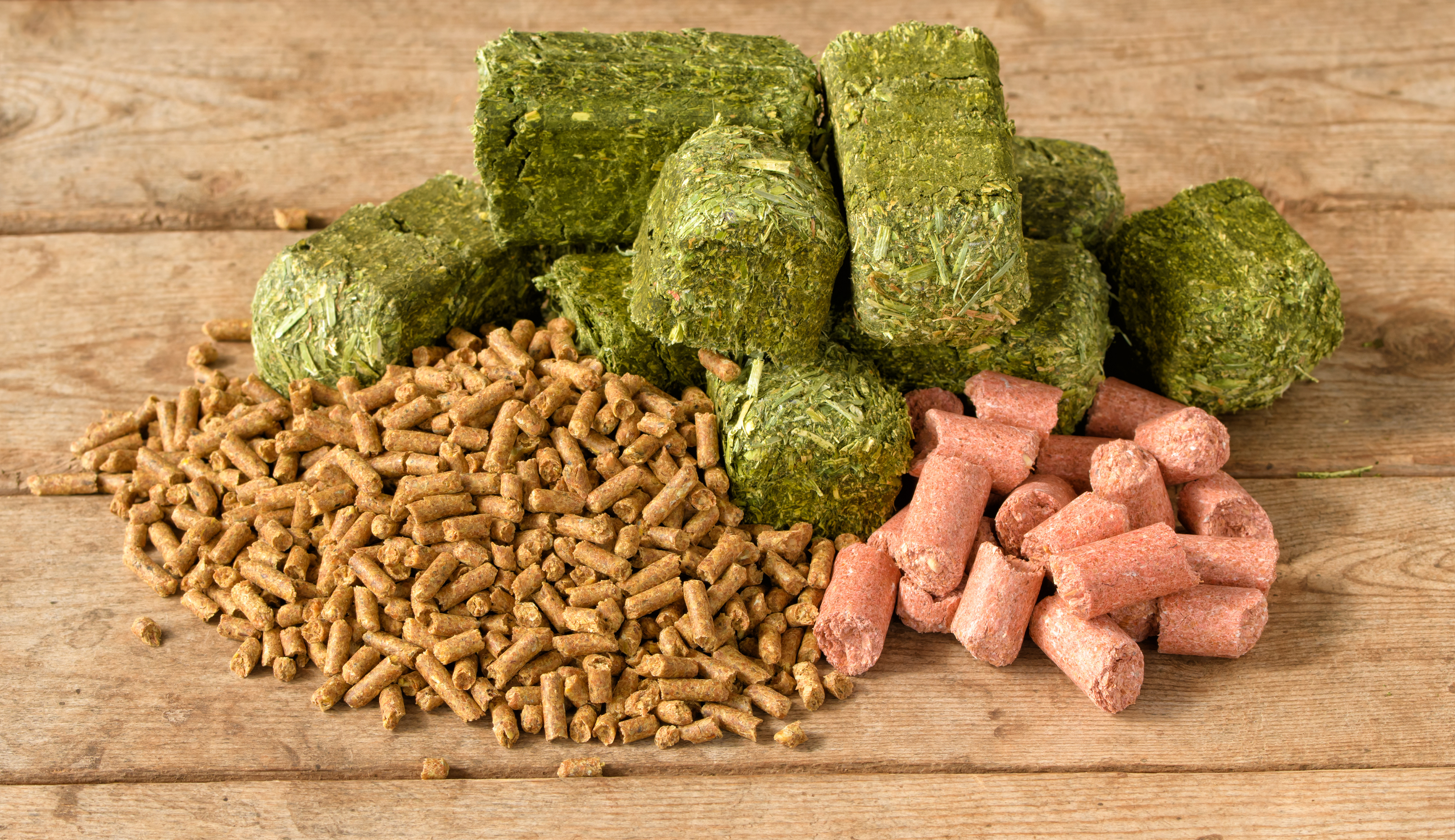 ALIMENTATION_LITIERE_FOURRAGE