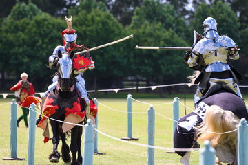 CAVALIER_DE_SPECTACLE